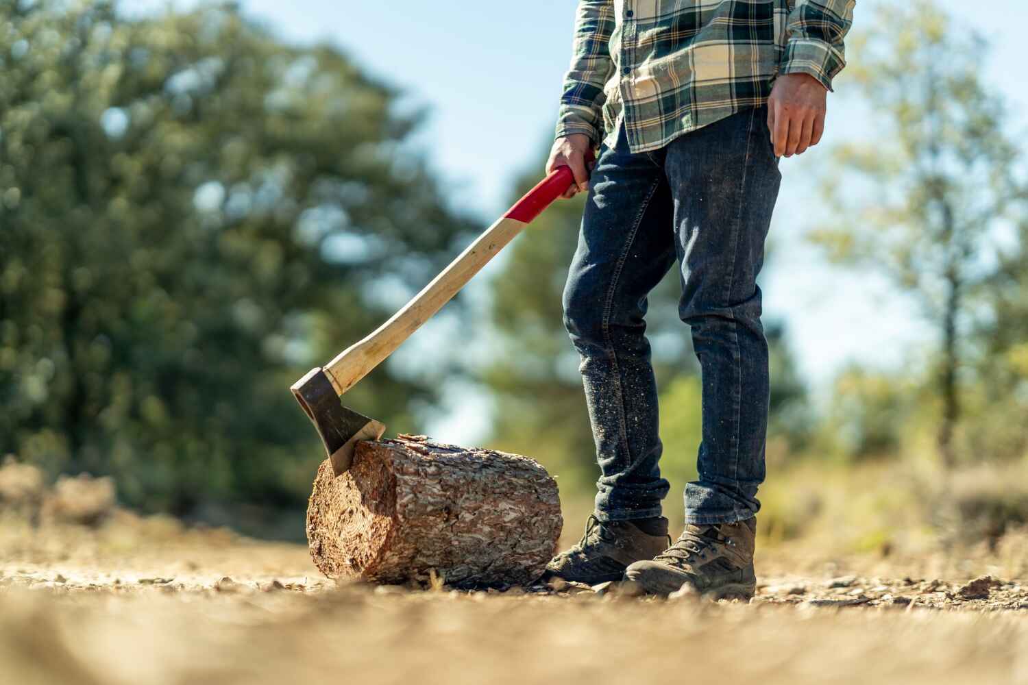 Best Emergency Storm Tree Removal  in Parker, FL